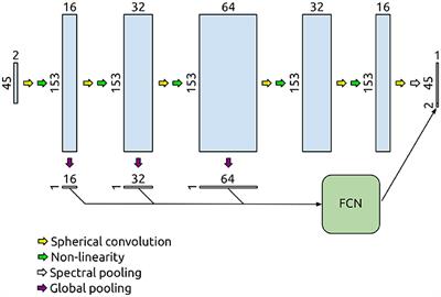 Spherical convolutional neural networks can improve brain microstructure estimation from diffusion MRI data